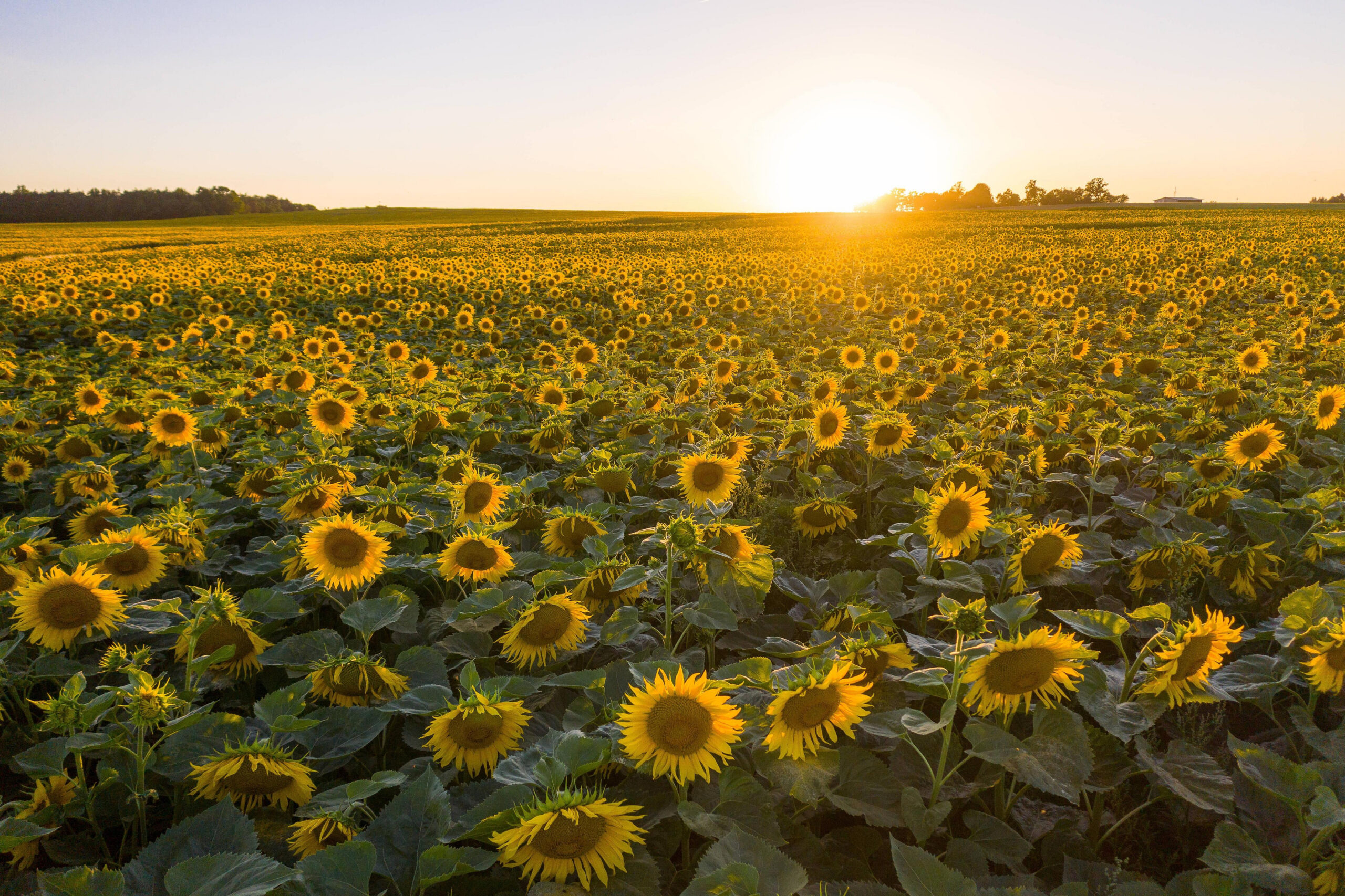 ТРАНСПОРТНОЕ ОБОРУДОВАНИЕ
